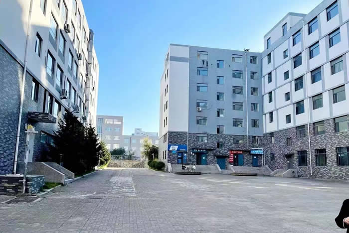 长春博大教育全日制艺考生文化课集训班