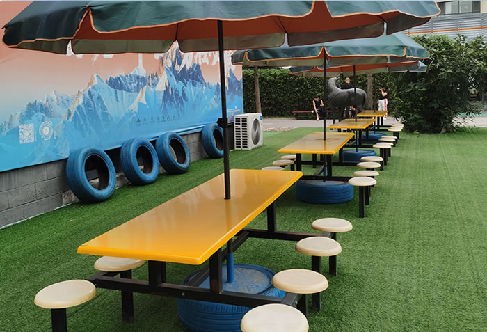 石家庄高三艺考生文化课全托 石家庄高考艺术生文化课集训