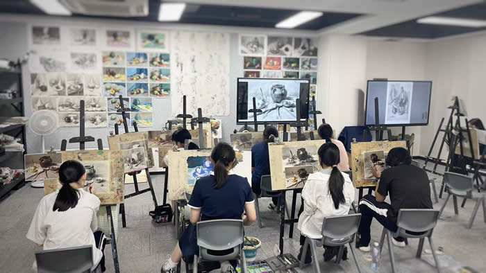 深圳方向艺考美术集训班 深圳高考美术集训课程 深圳方向艺考美术集训班 深圳高考美术集训课程