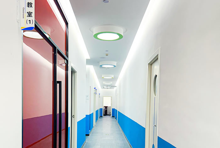 厦门高度教育高三艺术生高考文化课冲刺集训班 厦门高度教育高三艺术生高考文化课冲刺集训班