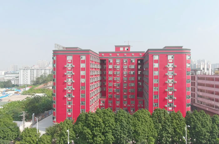 南宁桂人升学专升本课程 广西统招专升本协议班