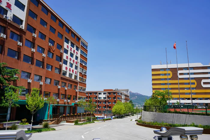 青岛艺体生文补集训班 青岛艺术生文化课全托补习班