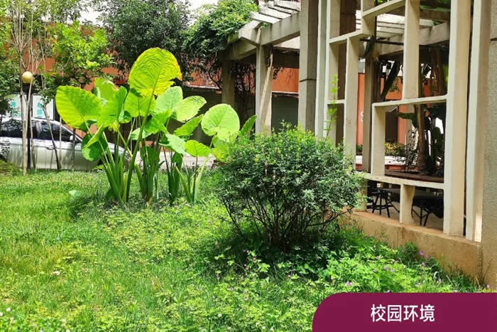 昆明步学高考全日制培训班 昆明高考全日制辅导班