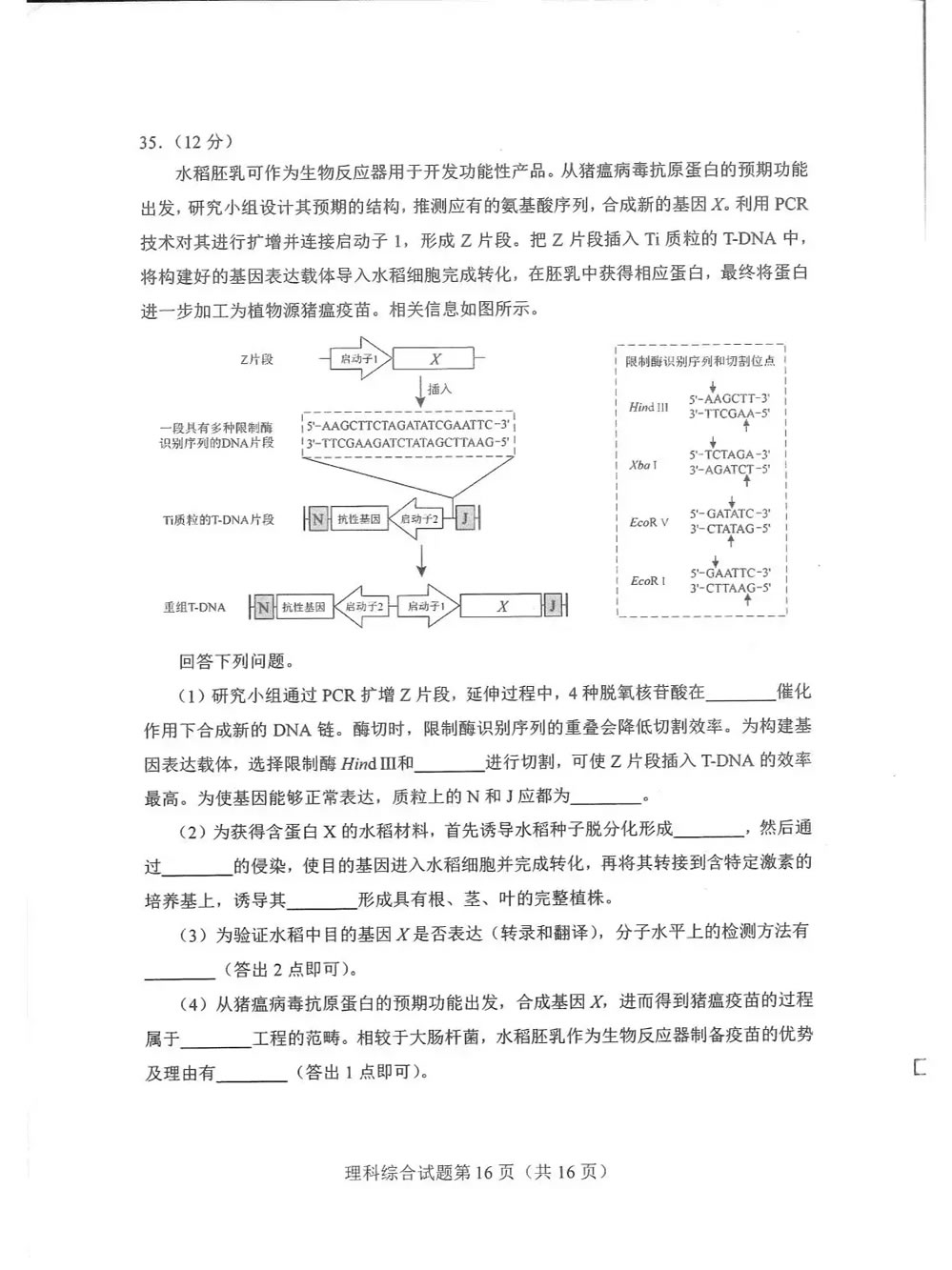 河南九省联考2024高三各科试卷答案(附完整题目解析)