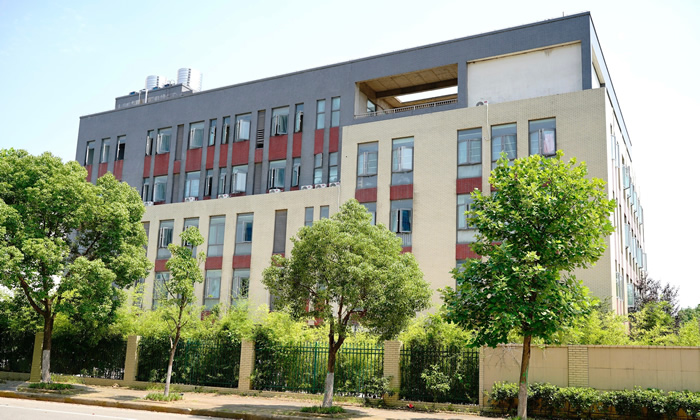 武汉美术艺考集训班 武汉美术艺考培训班