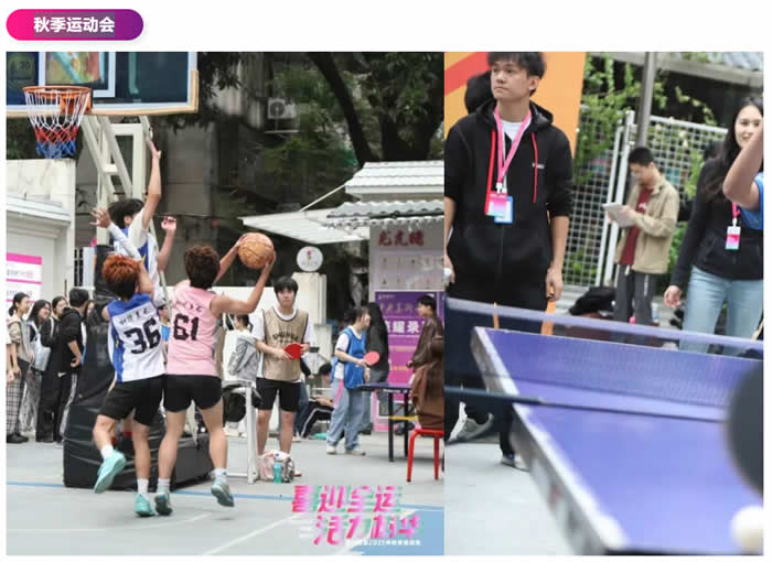 告别“无效周末”，让进步每周可见！——树华画室2026春季班招生简章