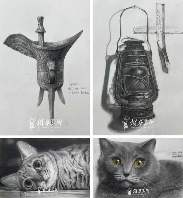 专业师资+系统课程，证书轻松拿 | 树华画室【中职3+美术考证班】招生简章