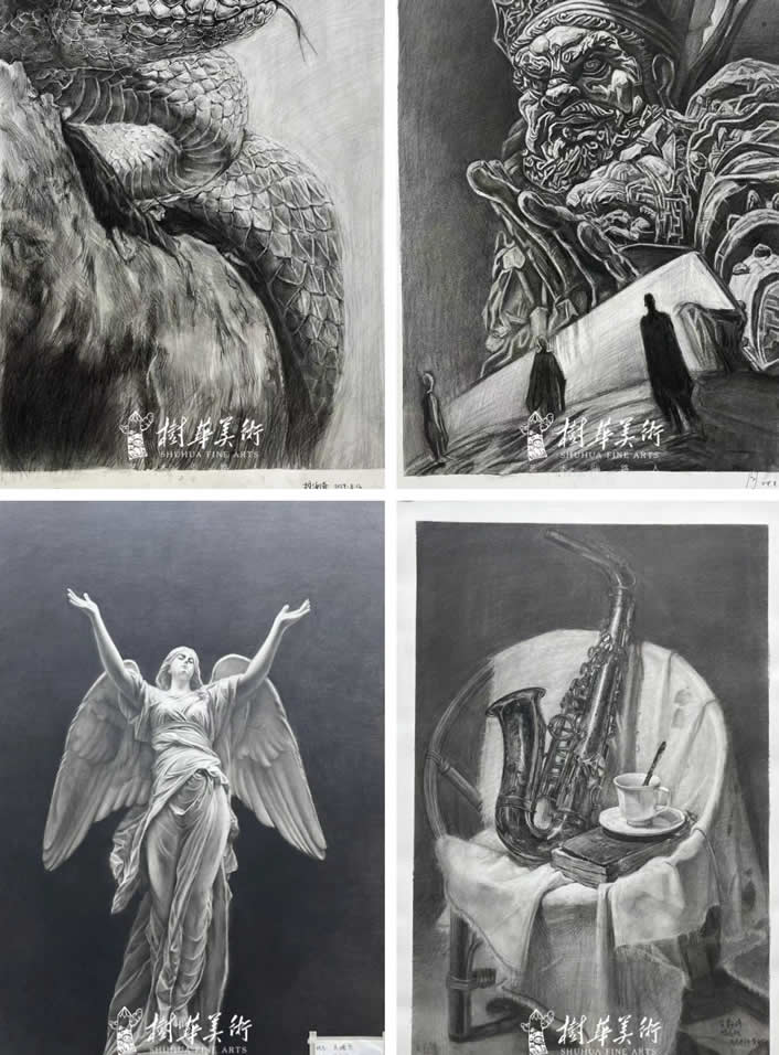 专业师资+系统课程，证书轻松拿 | 树华画室【中职3+美术考证班】招生简章