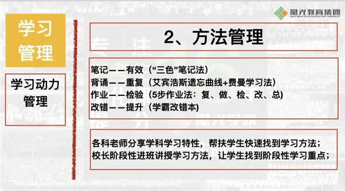 石家庄高三艺考生文化课集训班 石家庄高考艺考文化课辅导班