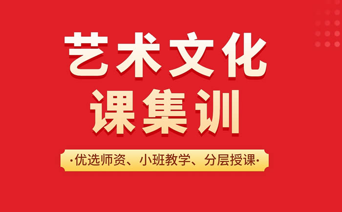 石家庄高三艺考生文化课集训班 石家庄高考艺考文化课辅导班