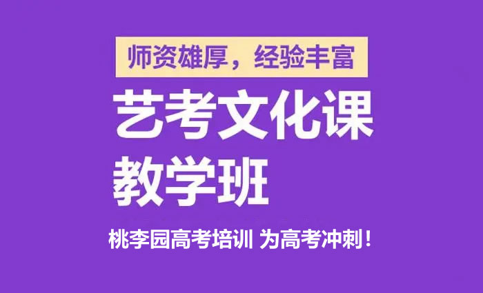 南宁桃李园艺术生文化课辅导 南宁艺考生文化课集训班