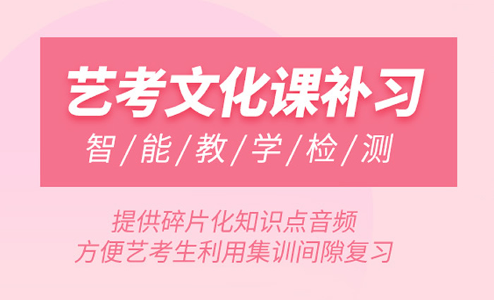 武汉智学艺术生文化课集训班 武汉艺术生高考文化课冲刺班