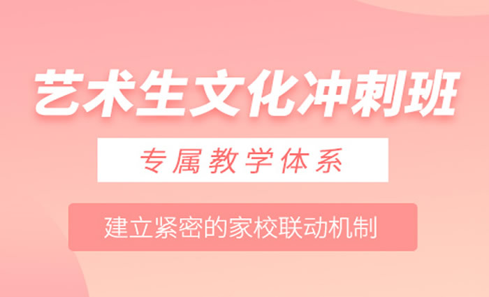 武汉智学艺术生文化课冲刺班 武汉艺考文化课冲刺集训班
