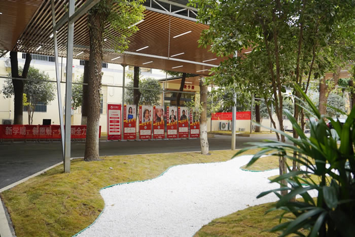 武汉智学艺考文化课培训班 武汉艺术生文化课集训班 武汉智学艺考文化课培训班 武汉艺术生文化课集训班