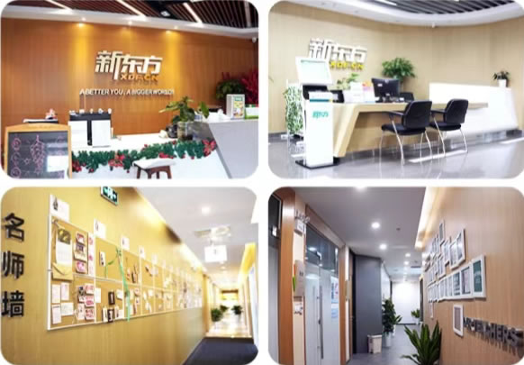 成都新东方统招专升本集训班 四川专升本课程辅导班