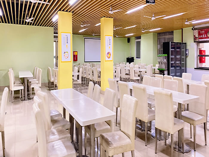 成都新学高考艺考文化课培训班 成都高三艺术生文化课集训班