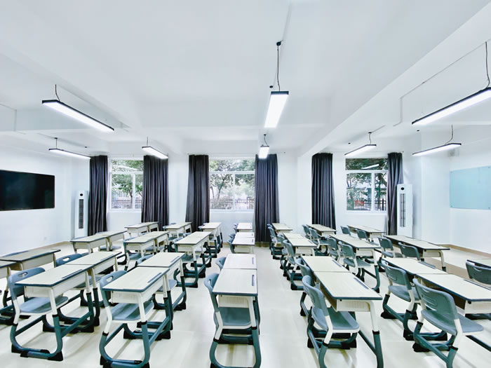 成都新学高考艺考文化课培训班 成都高三艺术生文化课集训班