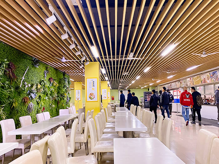 成都新学高考艺考文化课培训班 成都高三艺术生文化课集训班