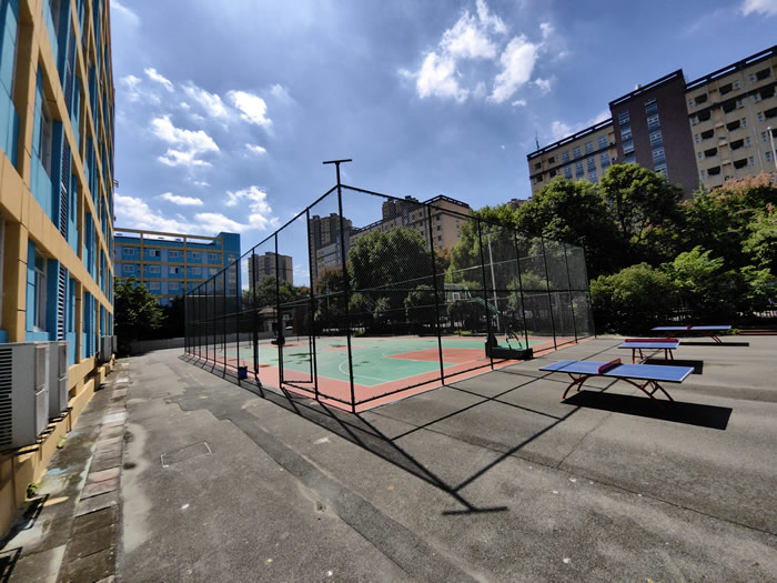 成都新学高考艺考文化课培训班 成都高三艺术生文化课集训班