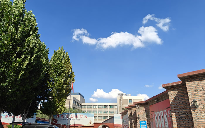 济南智学教育艺体生文化课全日制校区-地址电话交通路线