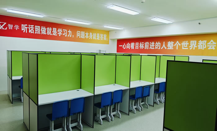 济南智学艺考生高考文化课冲刺班
