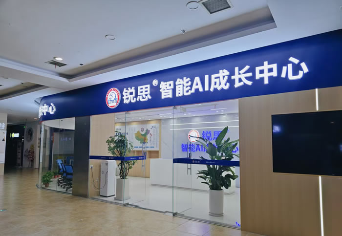 南京锐思中高考1对1辅导 南京初高中一对一辅导班