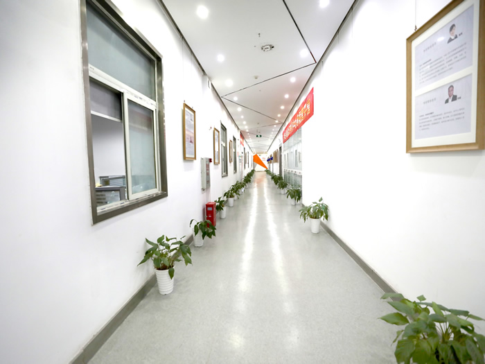 武汉新文道考研全年集训营 武汉考研全年集训课程